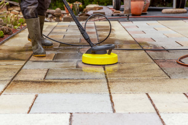 Best Animal Enclosure Cleaning  in Pottsgrove, PA